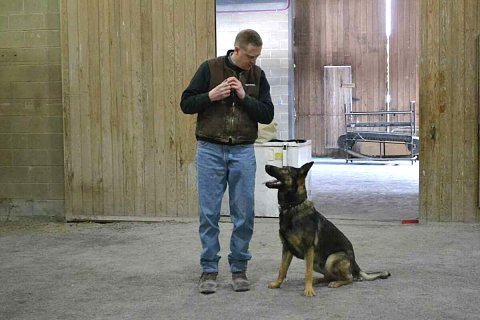 Click image for larger version  Name:	Reading your Dog 3.jpg Views:	0 Size:	142.0 KB ID:	398
