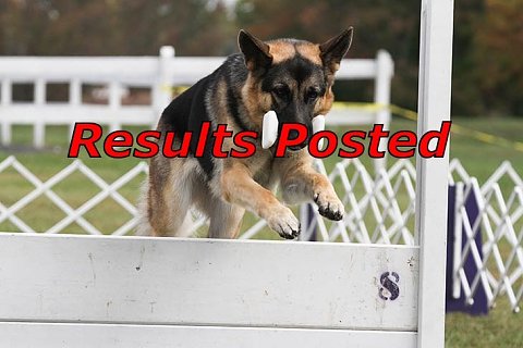 Click image for larger version

Name:	Rally Results.jpg
Views:	1689
Size:	70.9 KB
ID:	553